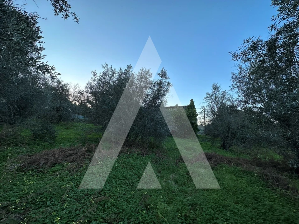 Terreno para Venda em Alvaiázere Foto 10