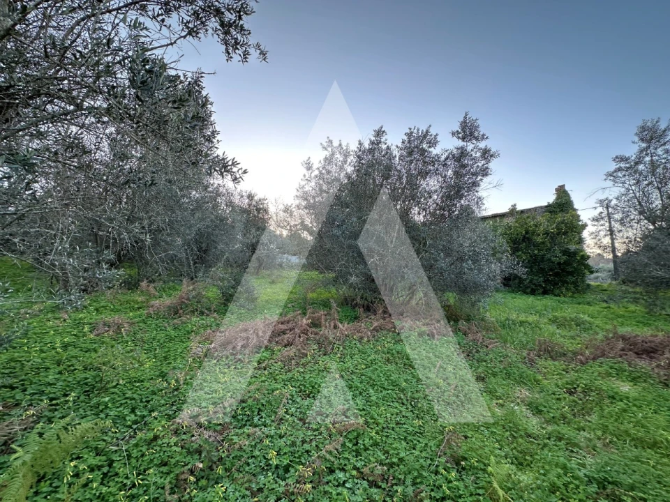 Terreno para Venda em Alvaiázere Foto 11