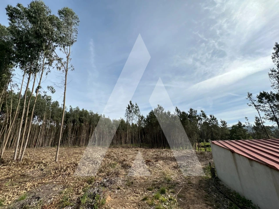 Terreno para Venda em Maçãs de D. Maria Foto 21