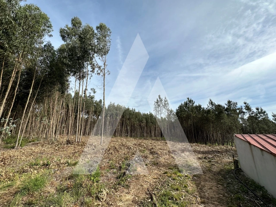Terreno para Venda em Maçãs de D. Maria Foto 33