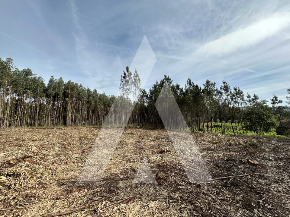 Terreno para Venda em Maçãs de D. Maria Foto 43