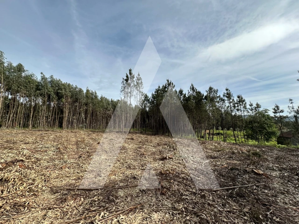 Terreno para Venda em Maçãs de D. Maria Foto 48