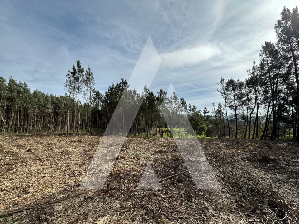 Terreno para Venda em Maçãs de D. Maria Foto 49