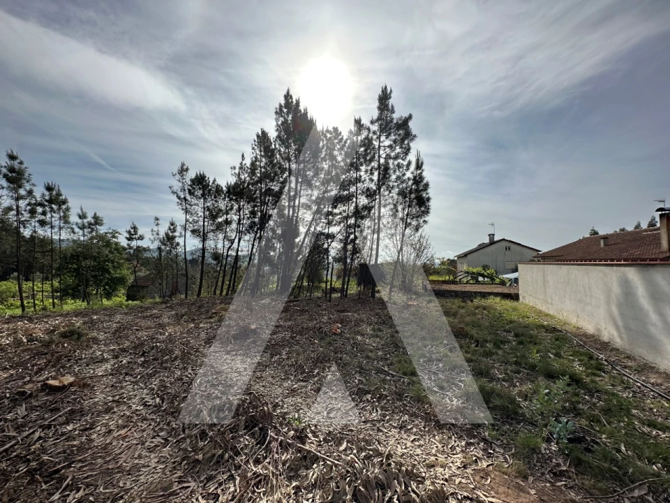 Terreno para Venda em Maçãs de D. Maria Foto 51