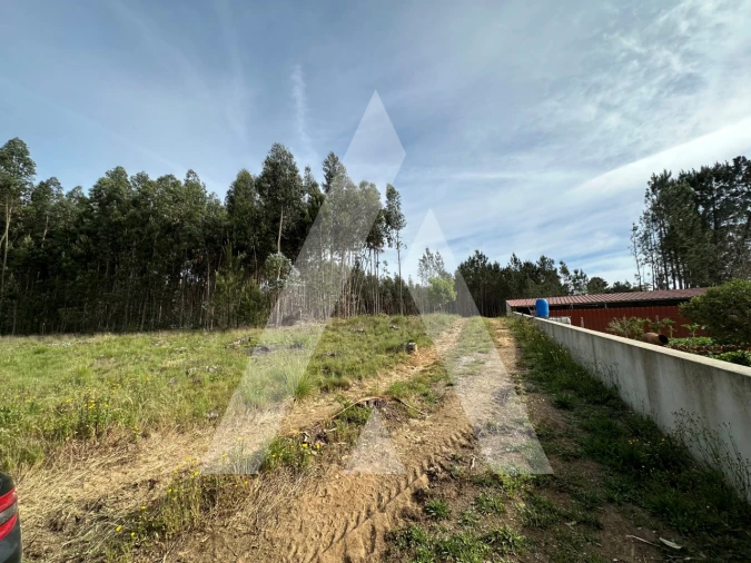 Terreno para Venda em Maçãs de D. Maria Foto 7