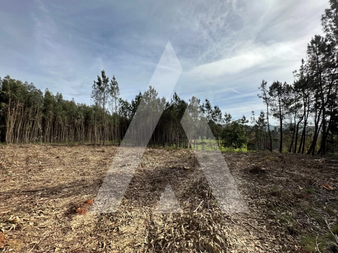 Terreno para Venda em Maçãs de D. Maria Foto 38