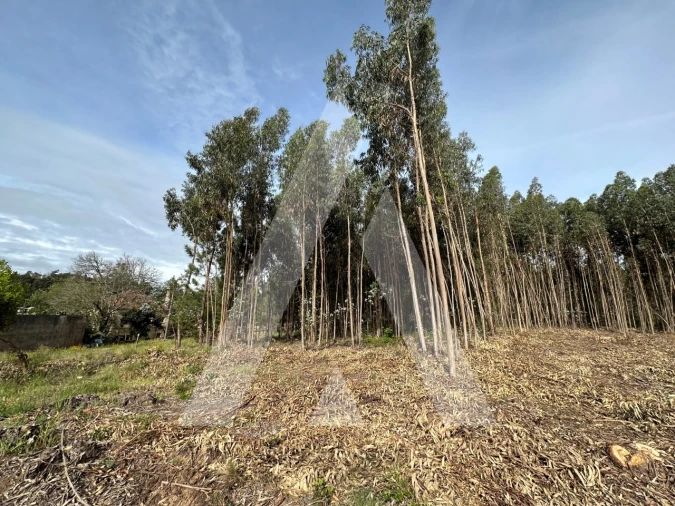 Terreno para Venda em Maçãs de D. Maria Foto 46