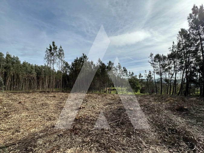 Terreno para Venda em Maçãs de D. Maria Foto 49