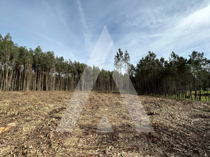Terreno para Venda em Maçãs de D. Maria Foto 54