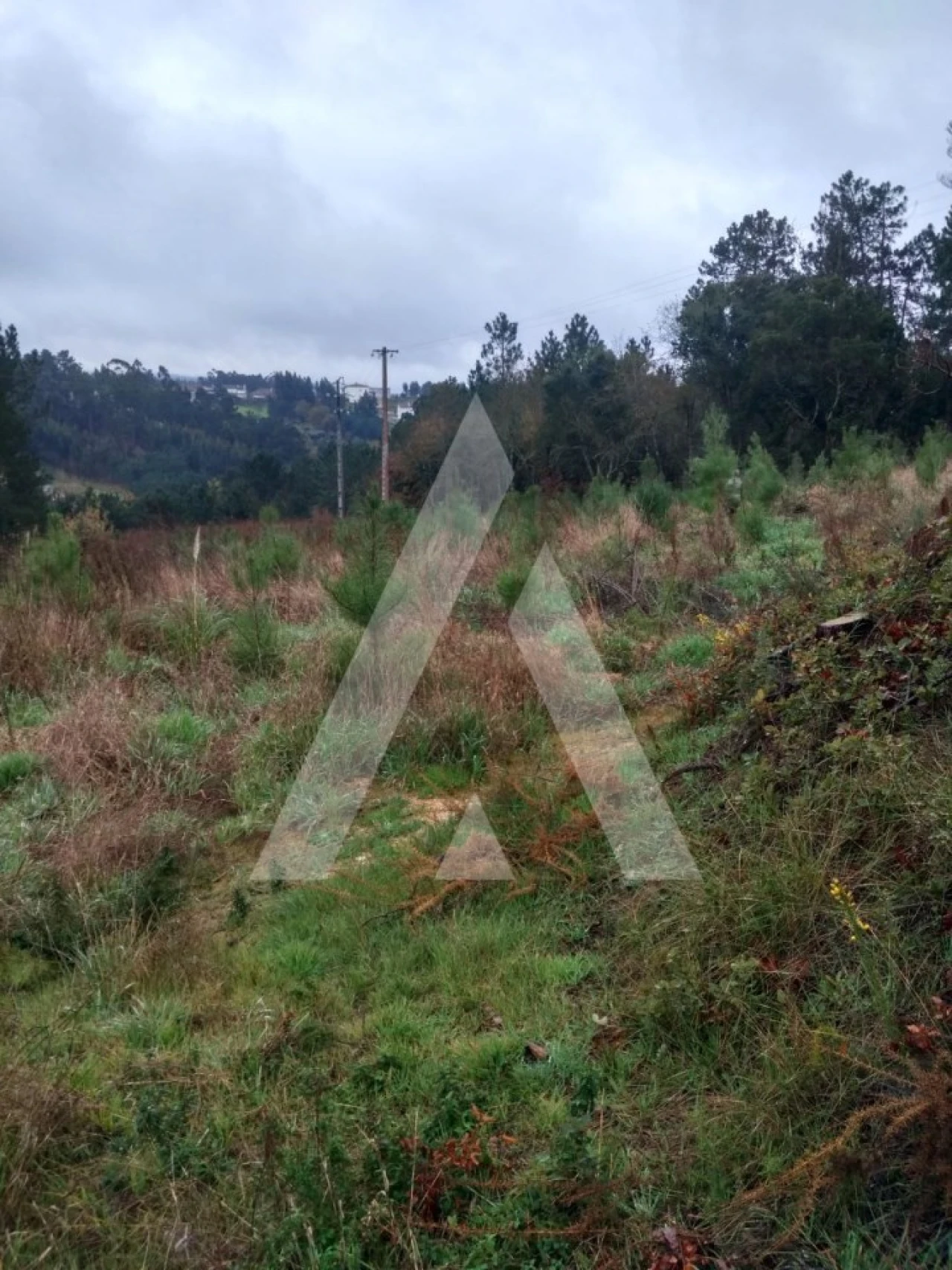 Terreno para Venda em Leiria, Pousos, Barreira e Cortes Foto 9