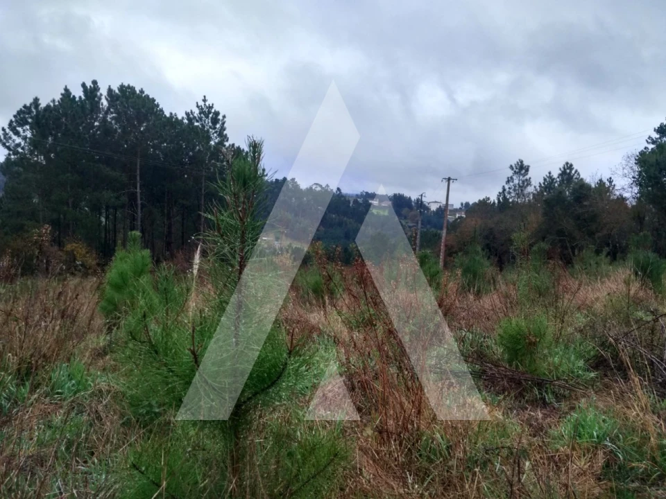 Terreno para Venda em Leiria, Pousos, Barreira e Cortes Foto 2