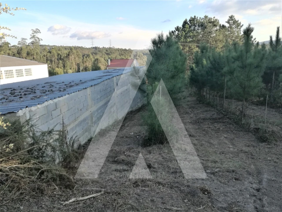 Terreno para Venda em Leiria, Pousos, Barreira e Cortes Foto 7