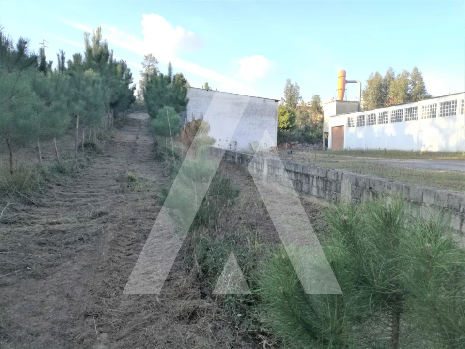 Terreno para Venda em Leiria, Pousos, Barreira e Cortes Foto 5