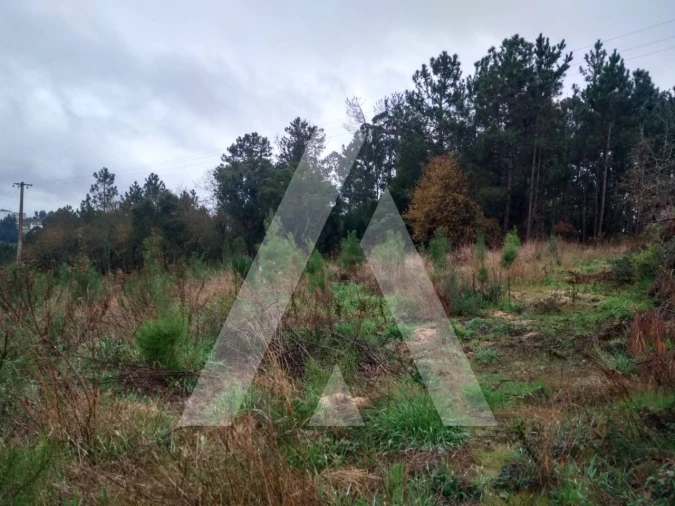 Terreno para Venda em Leiria, Pousos, Barreira e Cortes Foto 8