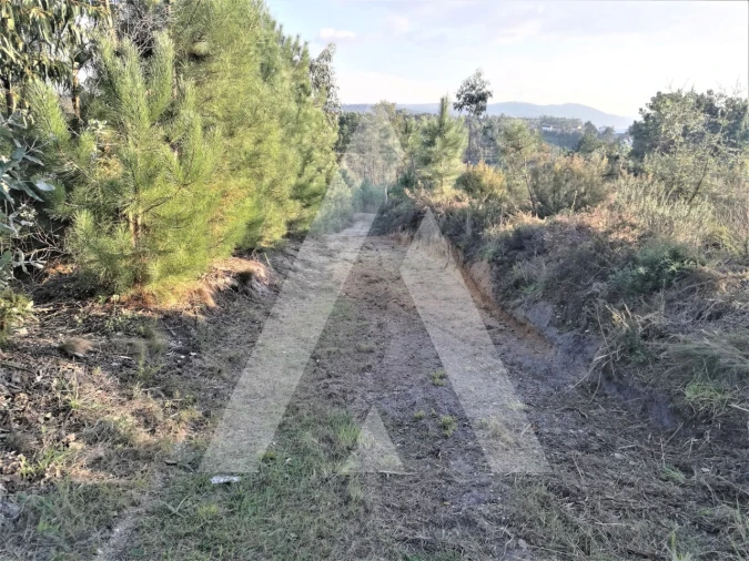 Terreno para Venda em Leiria, Pousos, Barreira e Cortes Foto 3