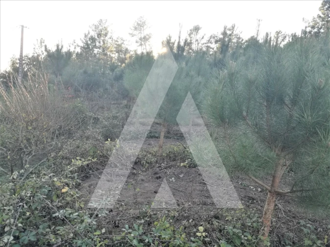 Terreno para Venda em Leiria, Pousos, Barreira e Cortes Foto 11