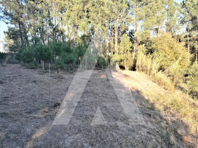 Terreno para Venda em Leiria, Pousos, Barreira e Cortes Foto 14
