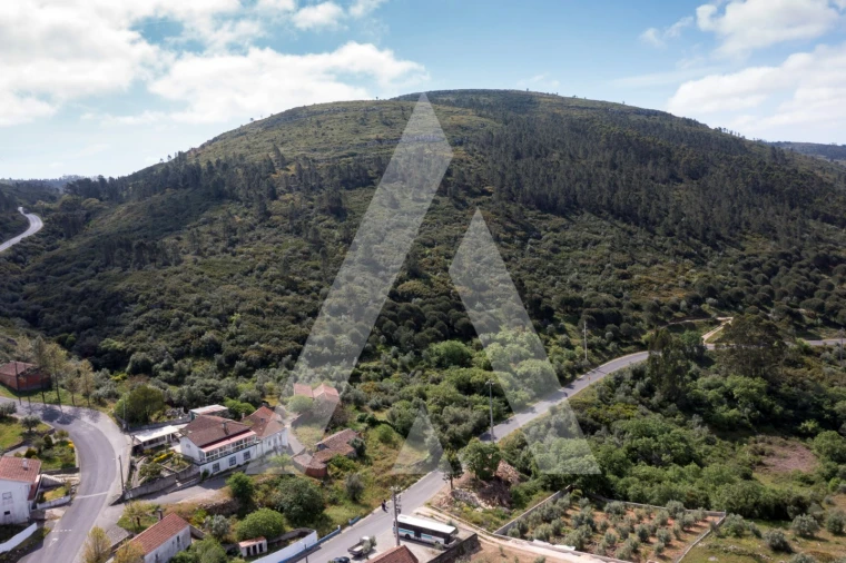Terreno para Venda em Alqueidão da Serra Foto 7