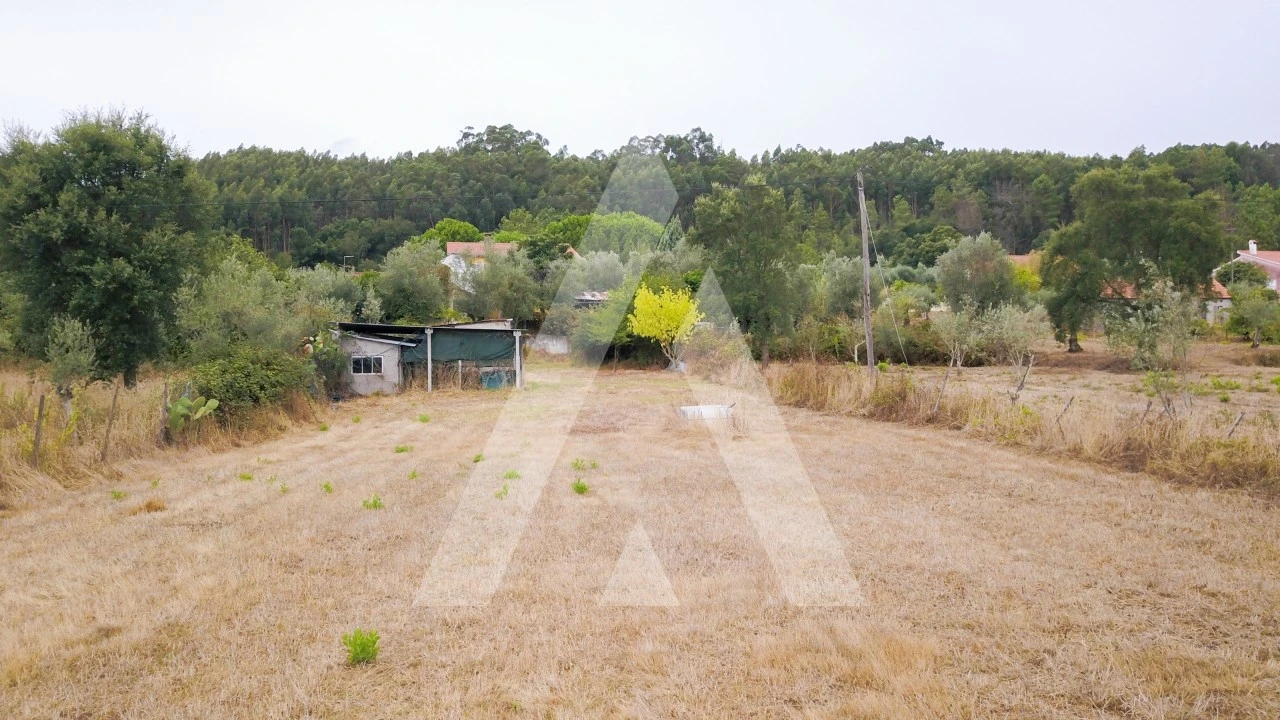 Moradia T4 para Venda em Areias e Pias Foto 6