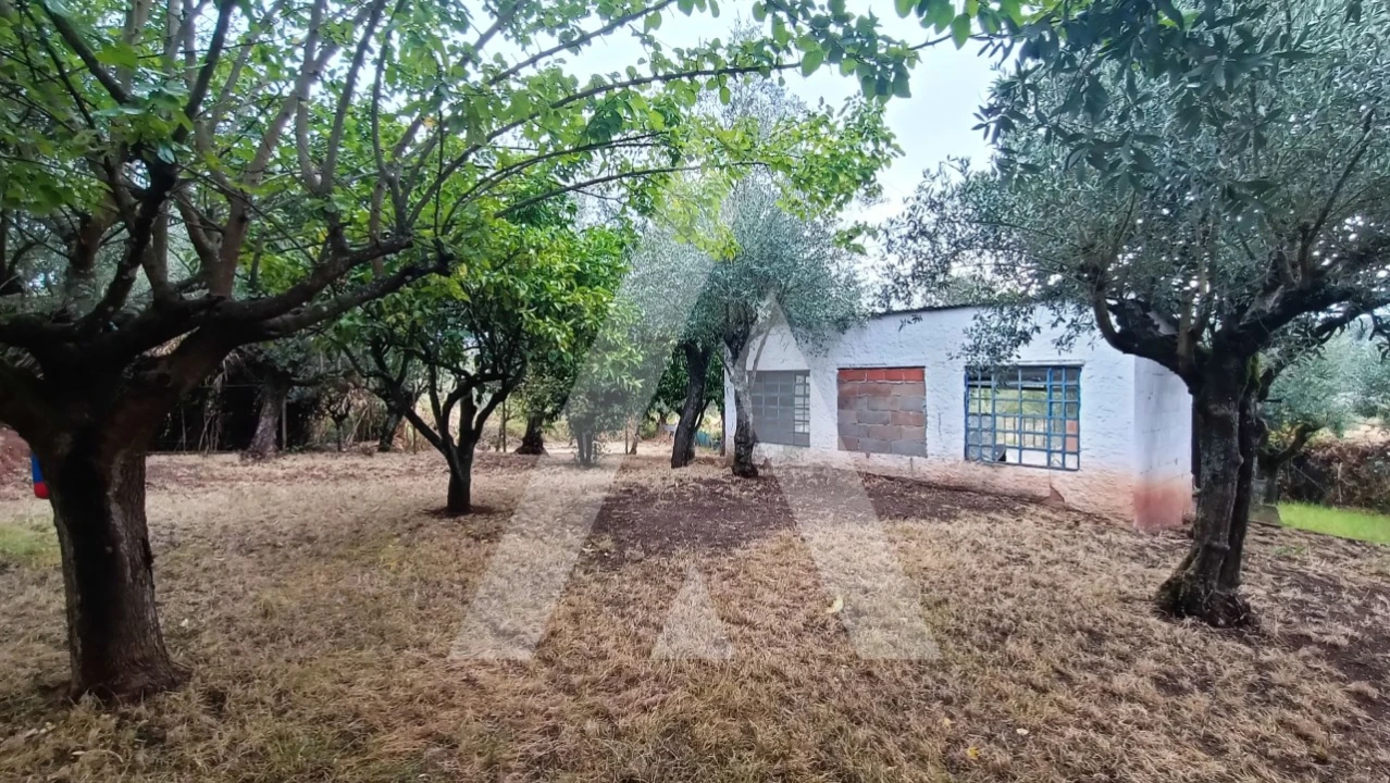 Moradia T4 para Venda em Areias e Pias Foto 24