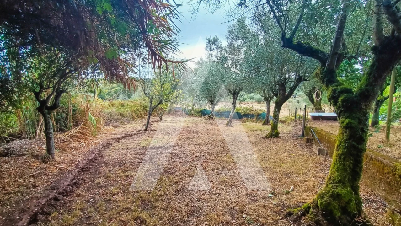 Moradia T4 para Venda em Areias e Pias Foto 28