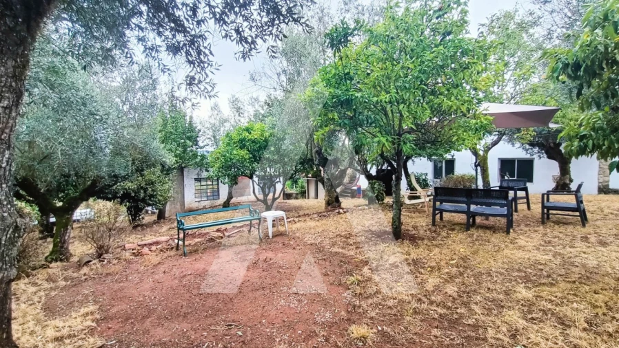 Moradia T4 para Venda em Areias e Pias Foto 21