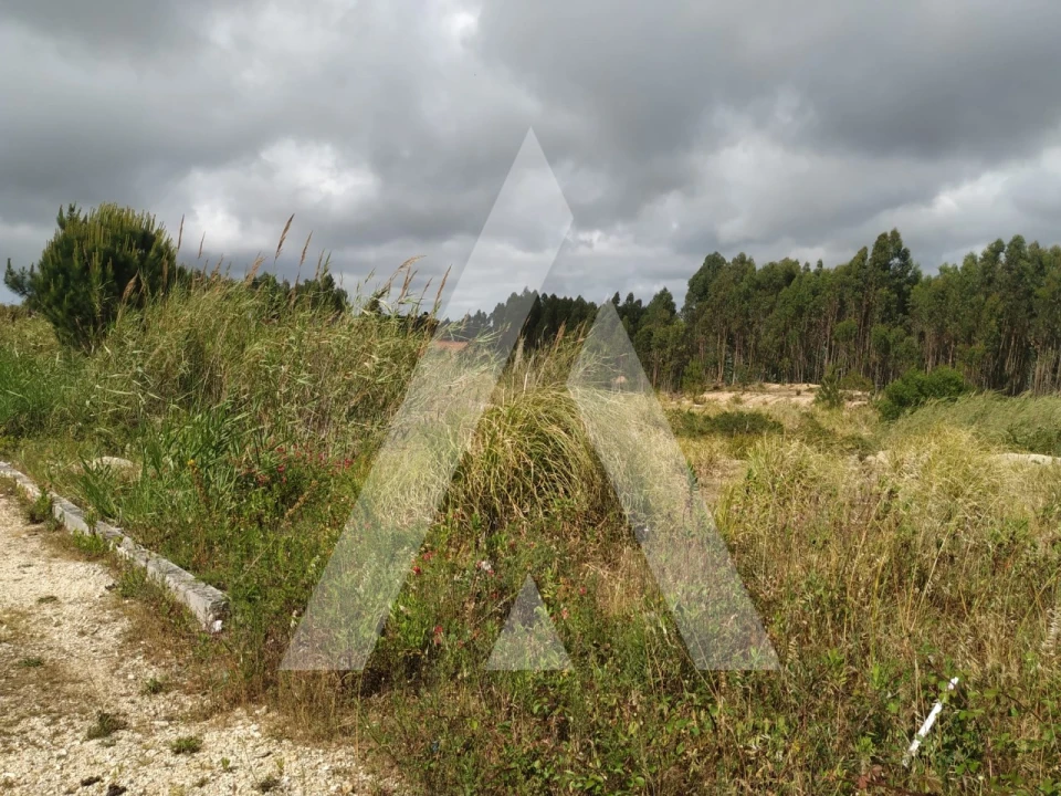 Terreno para Venda em Nossa Senhora do Pópulo, Coto e São Gregório Foto 2