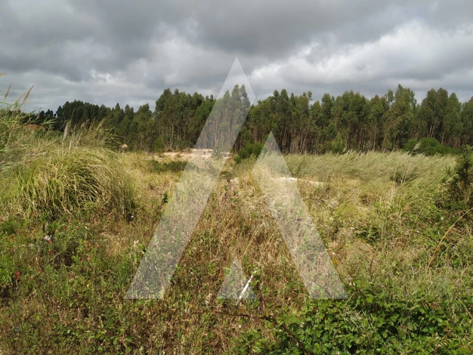Terreno para Venda em Nossa Senhora do Pópulo, Coto e São Gregório Foto 4