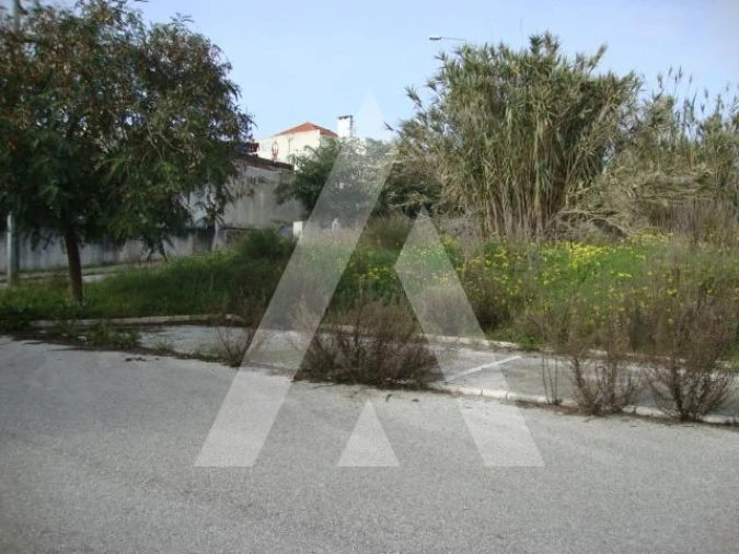 Terreno para Venda em Buarcos Foto 5