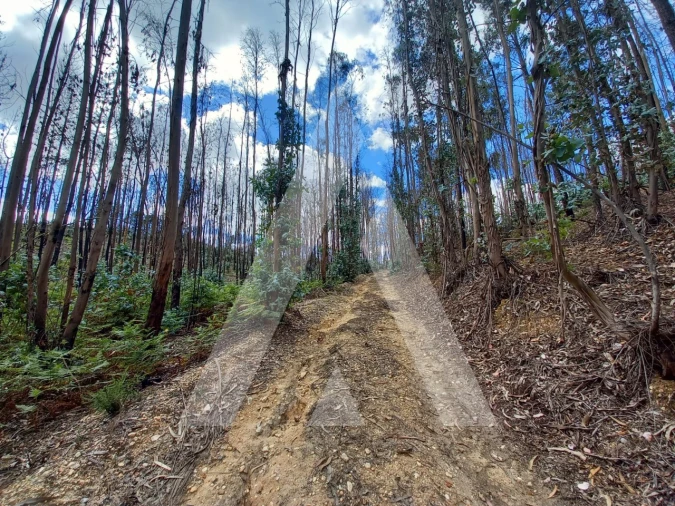 Terreno para Venda em Espite Foto 9
