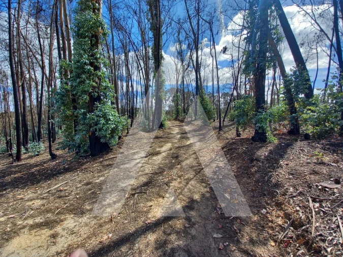 Terreno para Venda em Espite Foto 14