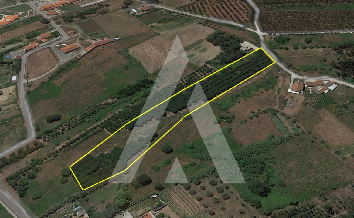 Terreno para Venda em Batalha Foto 2