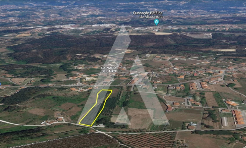 Terreno para Venda em Batalha Foto 3