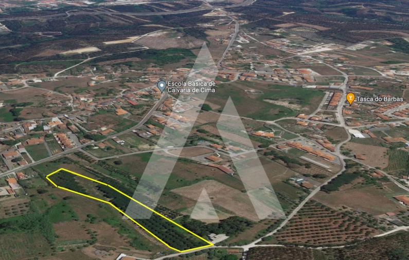 Terreno para Venda em Batalha Foto 4