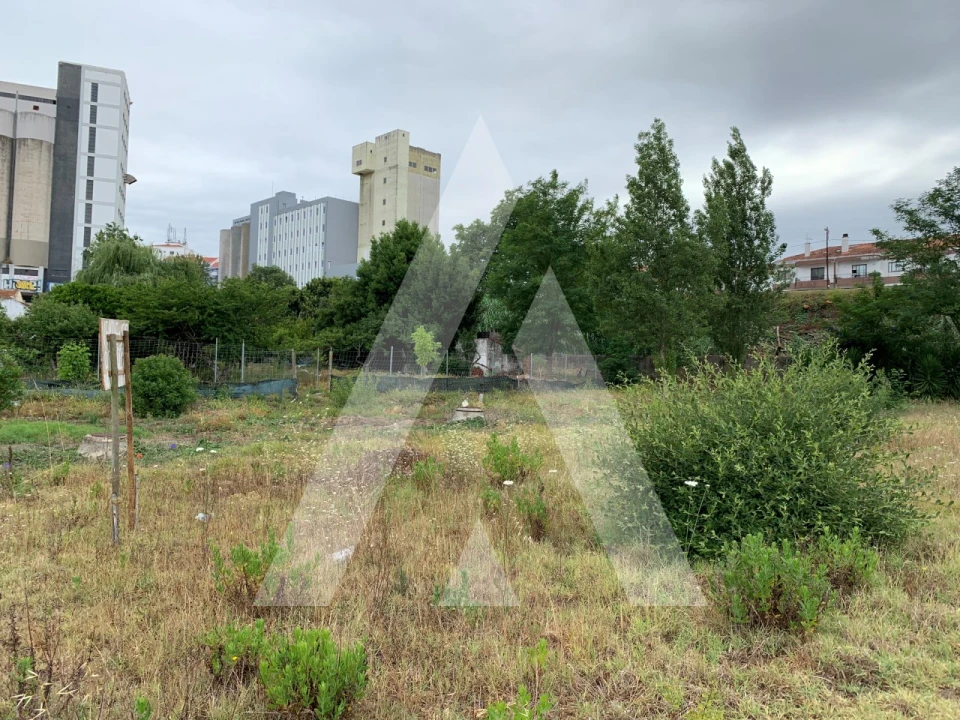 Terreno para Venda em Caldas da Rainha - Santo Onofre e Serra do Bouro Foto 16