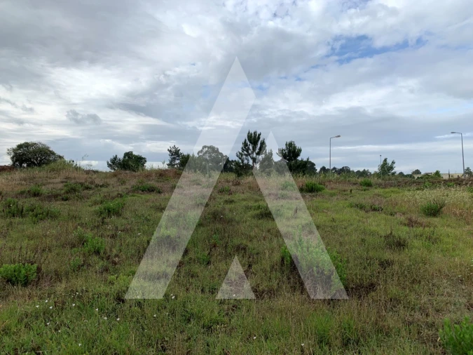Terreno para Venda em Caldas da Rainha - Santo Onofre e Serra do Bouro Foto 21