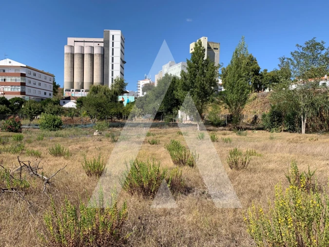 Terreno para Venda em Caldas da Rainha - Santo Onofre e Serra do Bouro Foto 7