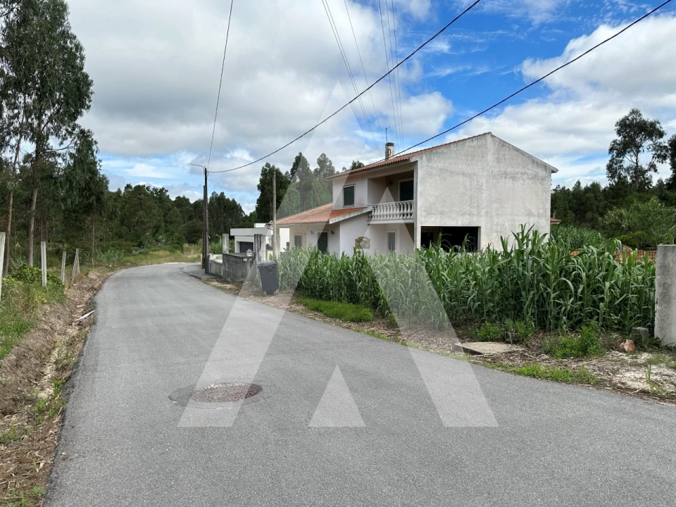 Terreno para Venda em Bustos, Troviscal e Mamarrosa Foto 7