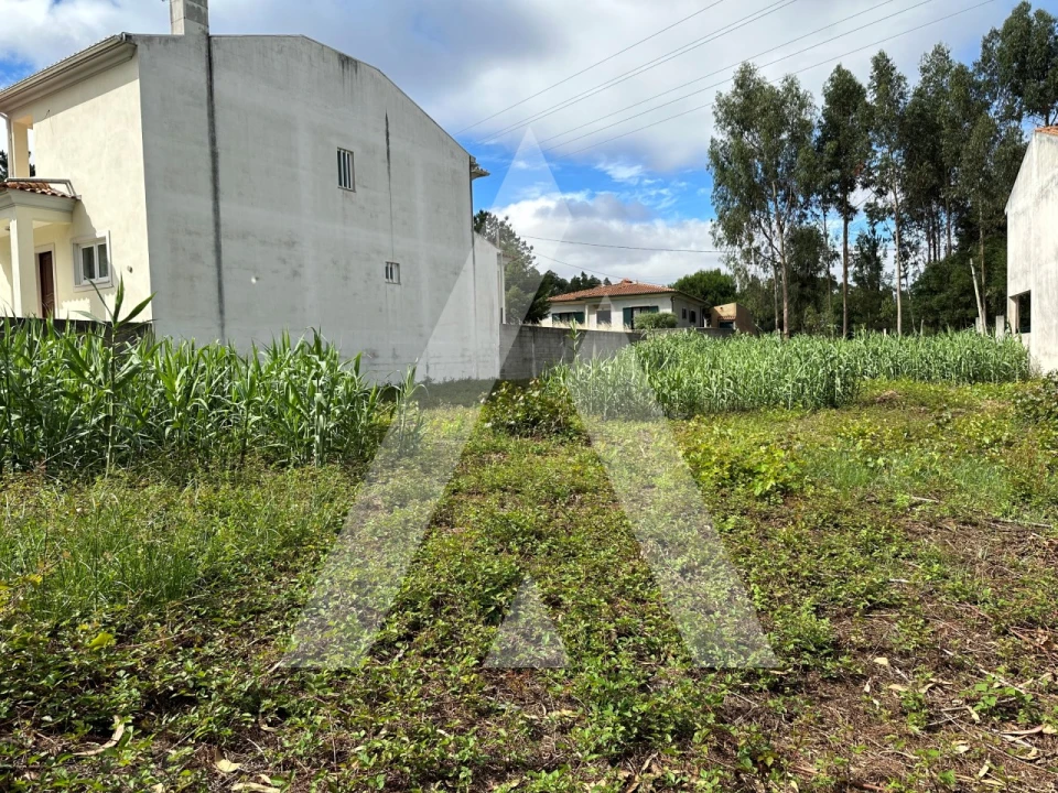 Terreno para Venda em Bustos, Troviscal e Mamarrosa Foto 5