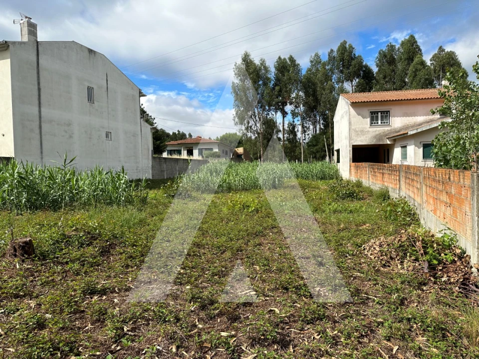 Terreno para Venda em Bustos, Troviscal e Mamarrosa Foto 1
