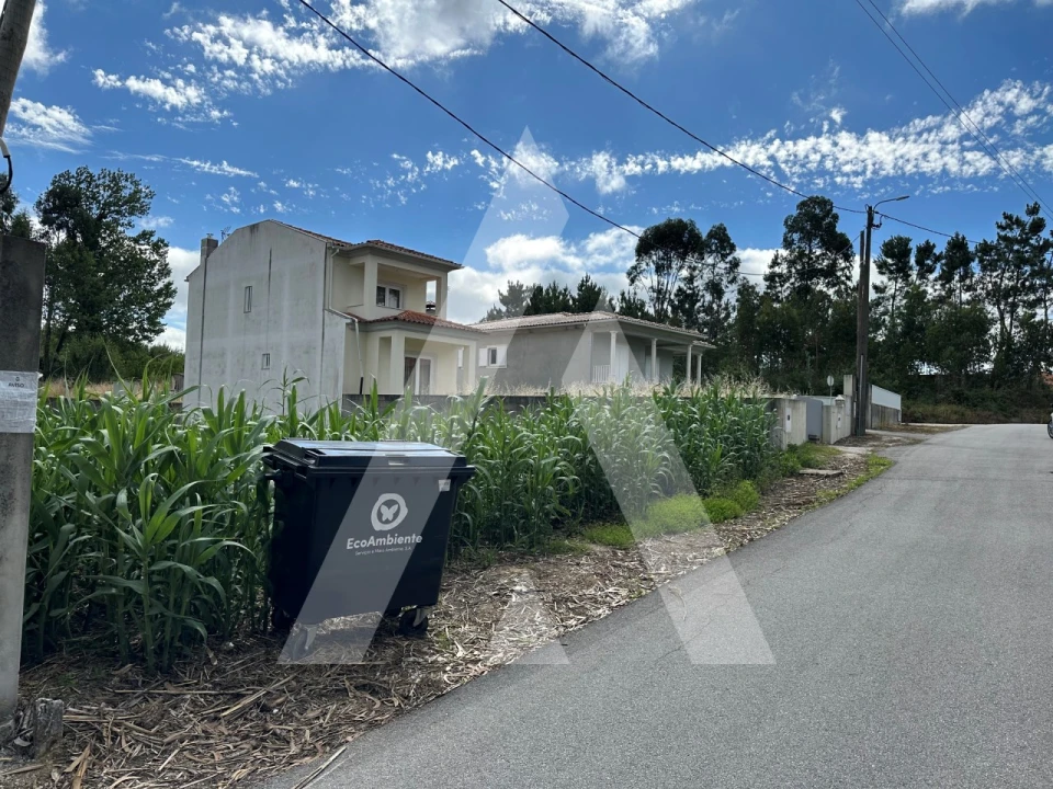 Terreno para Venda em Bustos, Troviscal e Mamarrosa Foto 11