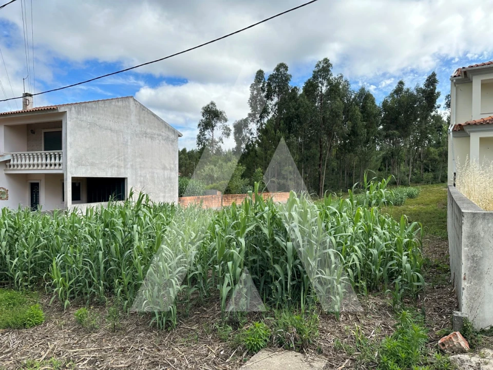 Terreno para Venda em Bustos, Troviscal e Mamarrosa Foto 12