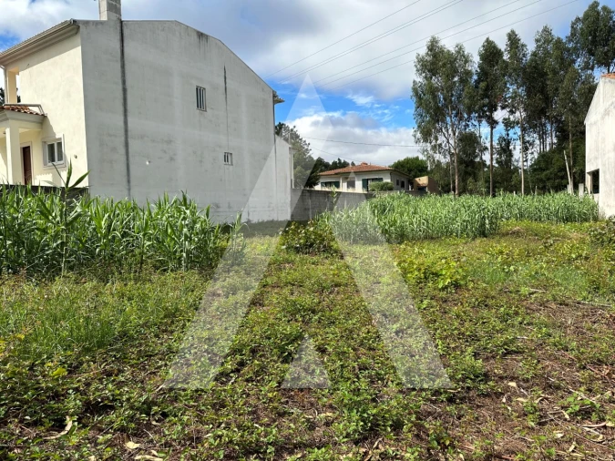 Terreno para Venda em Bustos, Troviscal e Mamarrosa Foto 5