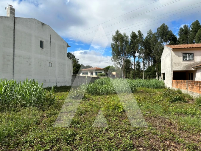 Terreno para Venda em Bustos, Troviscal e Mamarrosa Foto 8