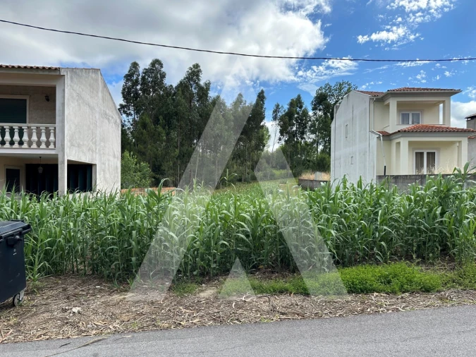 Terreno para Venda em Bustos, Troviscal e Mamarrosa Foto 9