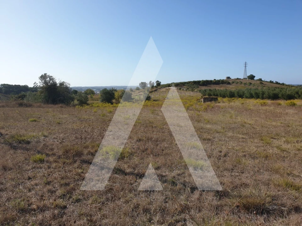 Terreno para Venda em Batalha Foto 2