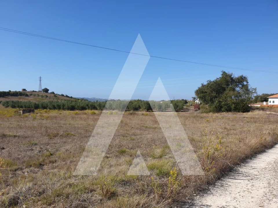 Terreno para Venda em Batalha Foto 1