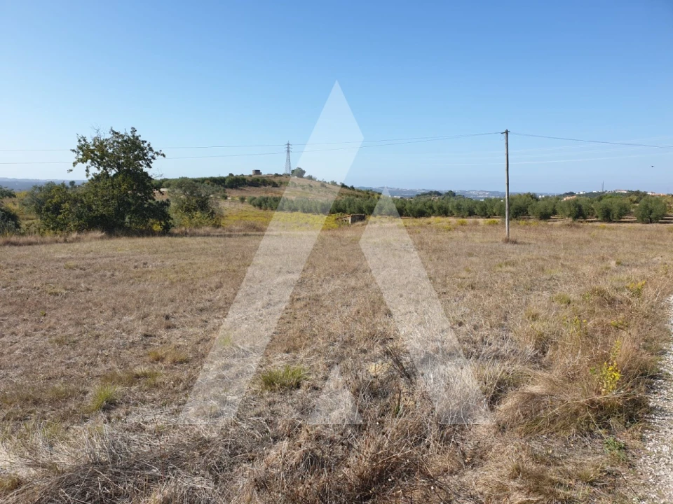 Terreno para Venda em Batalha Foto 6