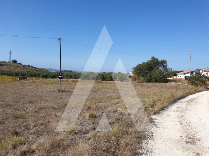 Terreno para Venda em Batalha Foto 4