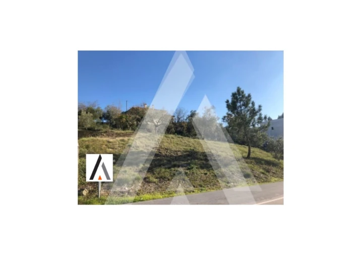 Terreno para Venda em Porto de Mós - São João Baptista e São Pedro Foto 2